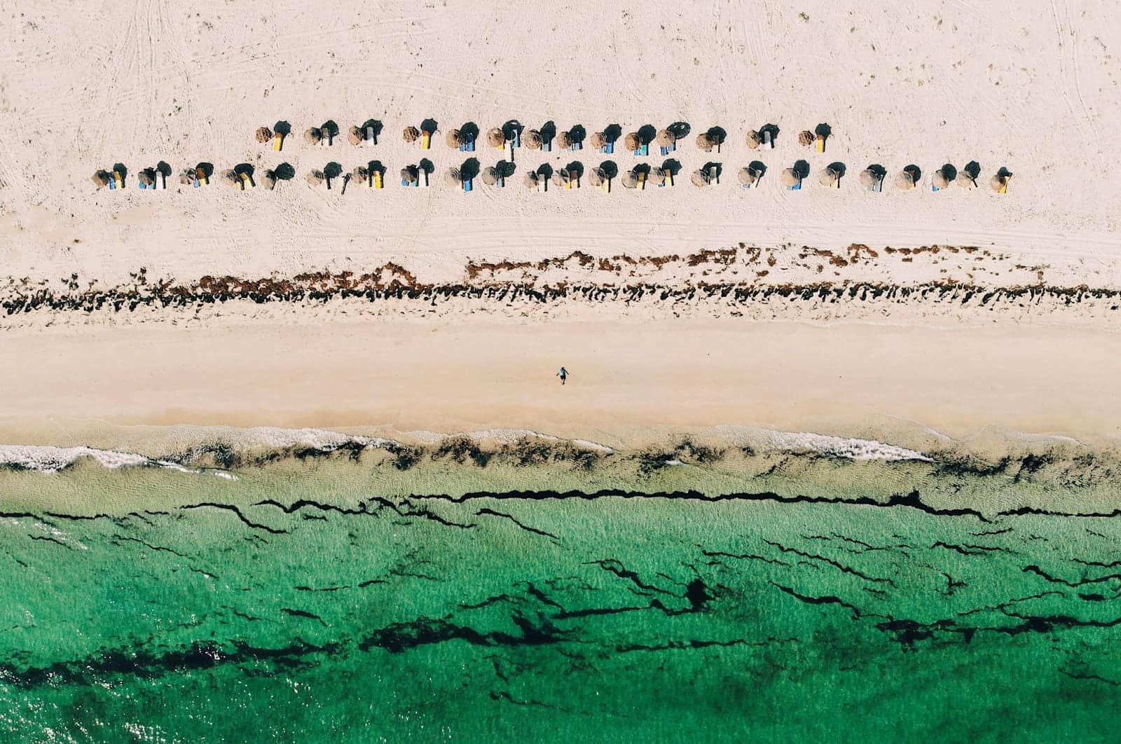 Négocier avec un vendeur particulier à Djerba : ce qui marche, ce qui braque