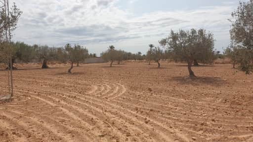 Terrain 2 658 m2 sur route el may djerba 4175 — salon et pièces de vie