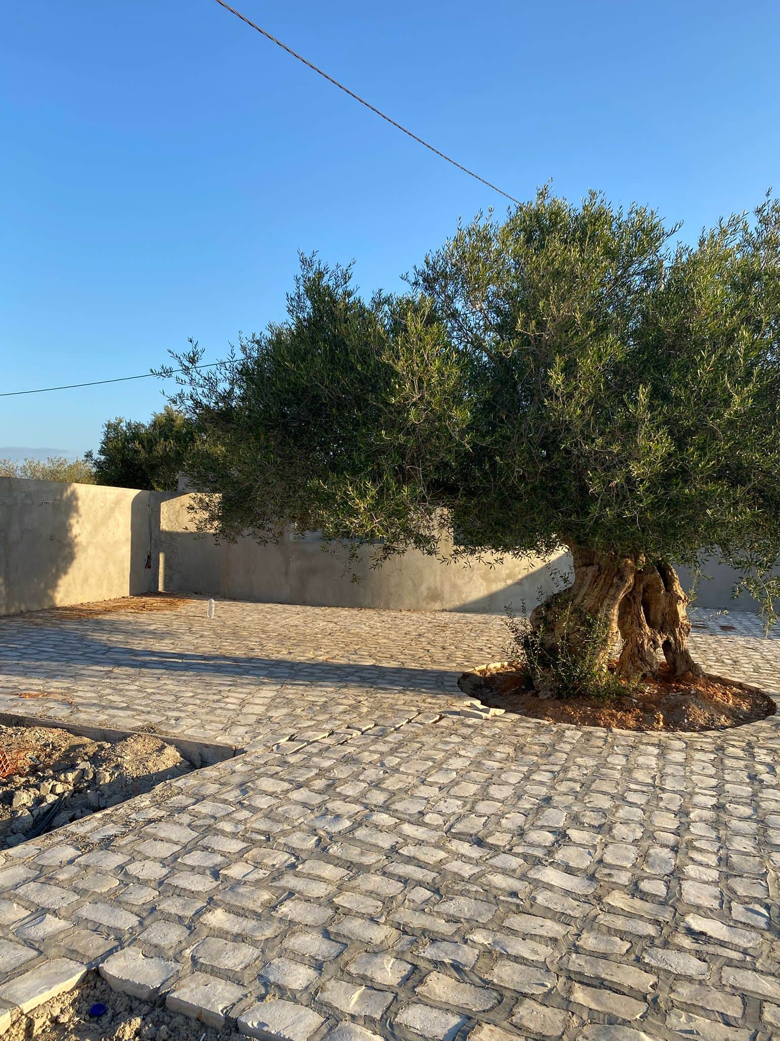 Villas plus maison d'hotes — terrasse et jardin