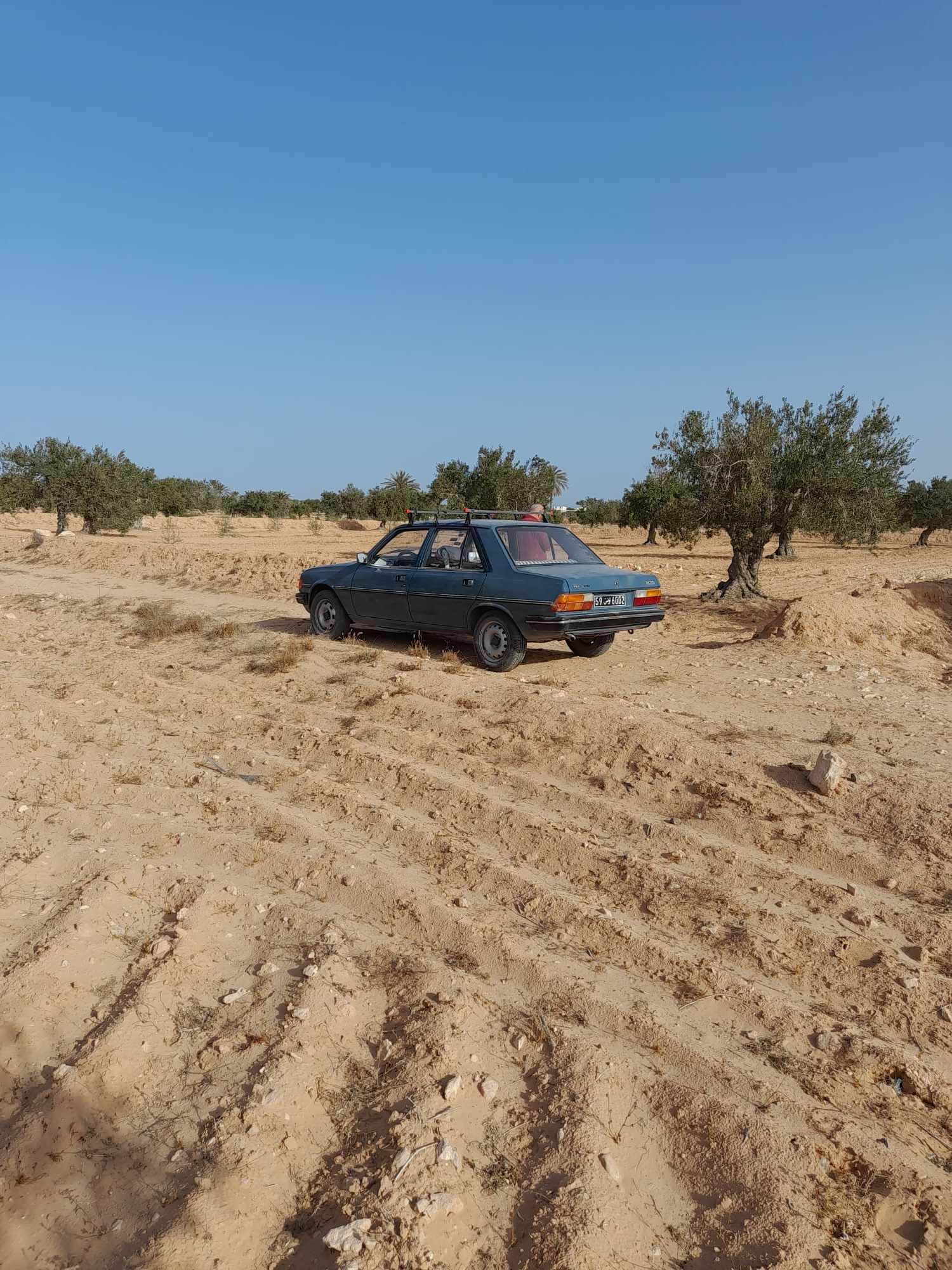 Terrain 3 822 m2 djerba 4175 el may — salon et pièces de vie