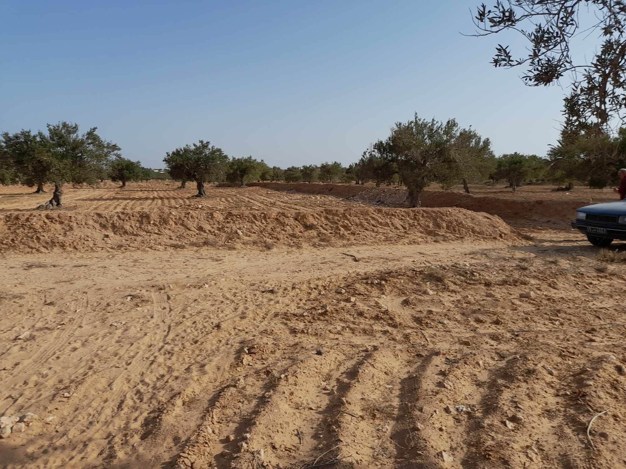 Terrain 3 822 m2 djerba 4175 el may — terrasse et jardin
