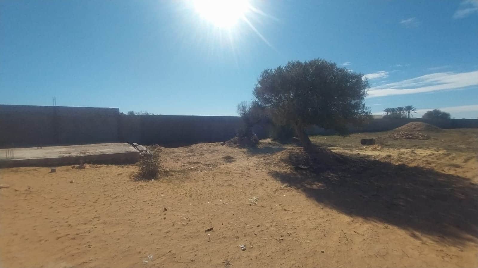 Terrain à arkou — Midoun, Djerba