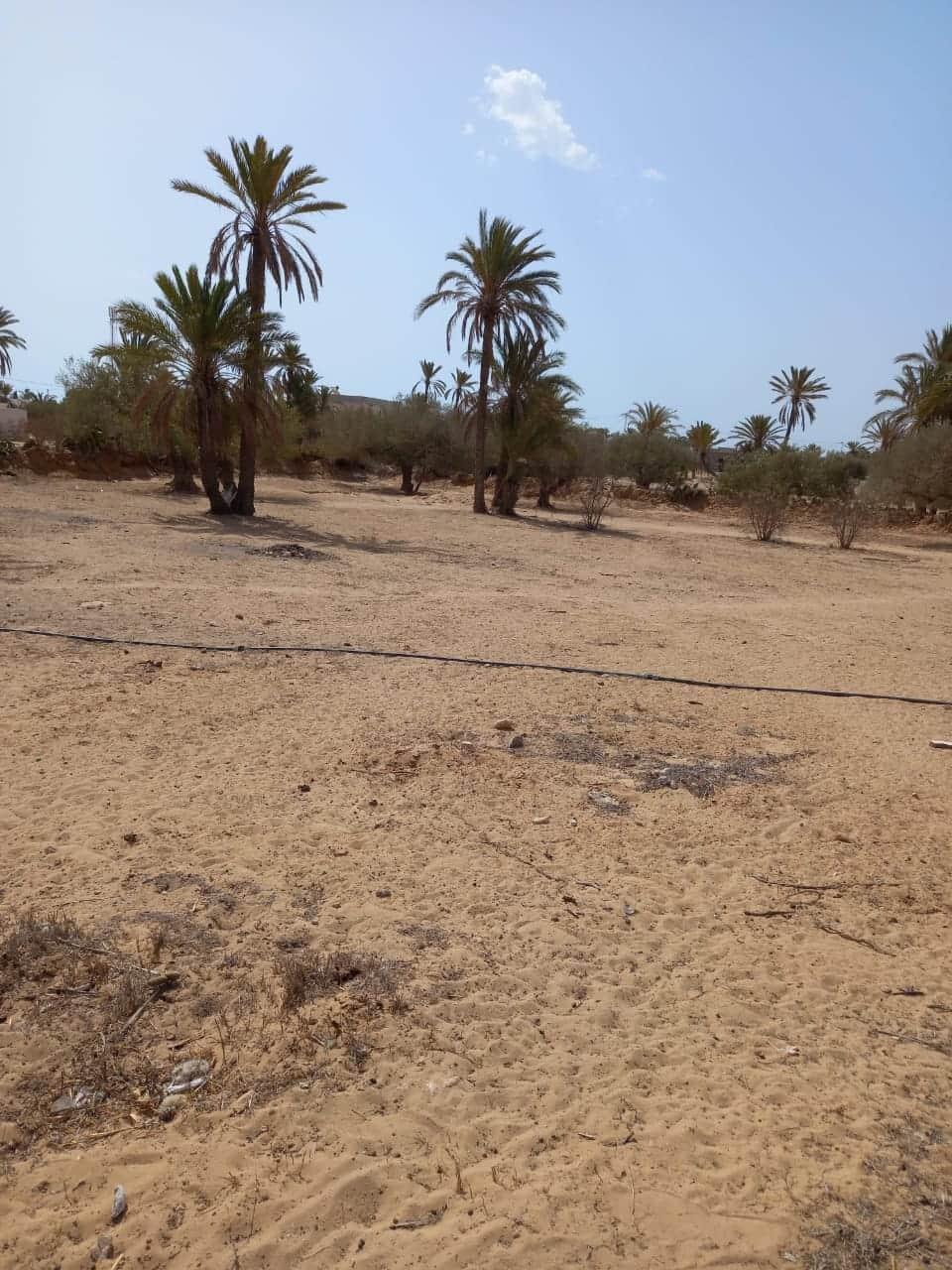 Terrain en zone urbaine — Midoun, Djerba
