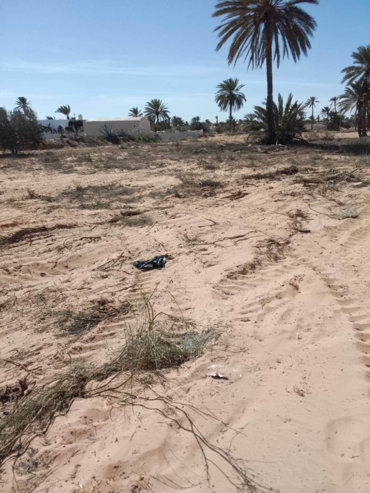 Terrain a hededda arkou — vue extérieure à Midoun, Djerba