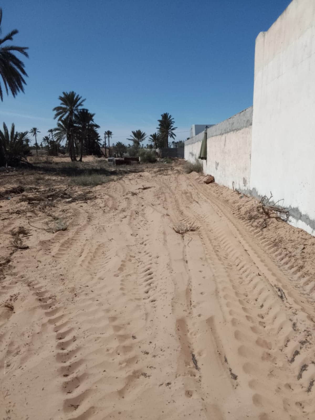 Terrain a hededda arkou — terrasse et jardin