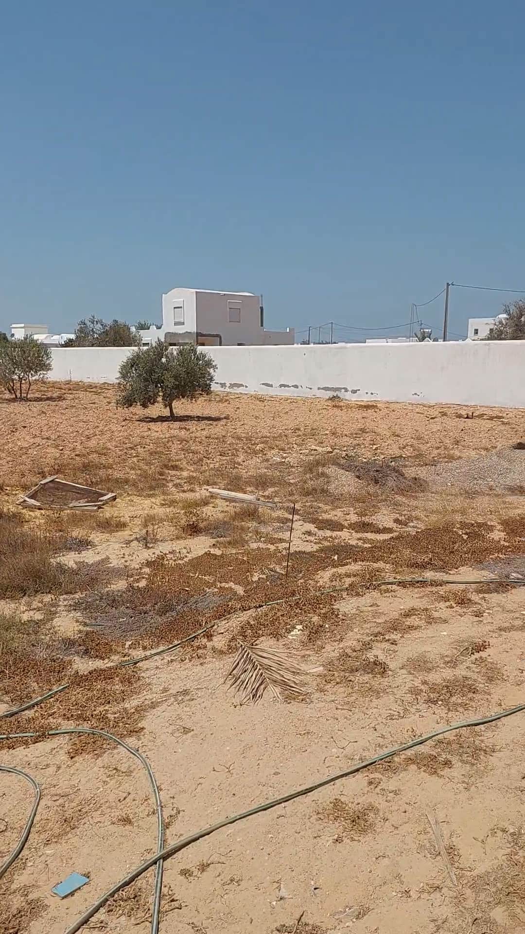 Terrain cloturé de 3900 m2 avec permit de batir — salon et pièces de vie