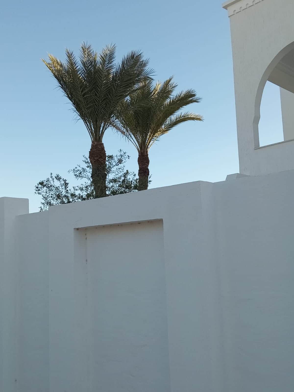 Deux villas spacieuses — vue extérieure à Midoun, Djerba