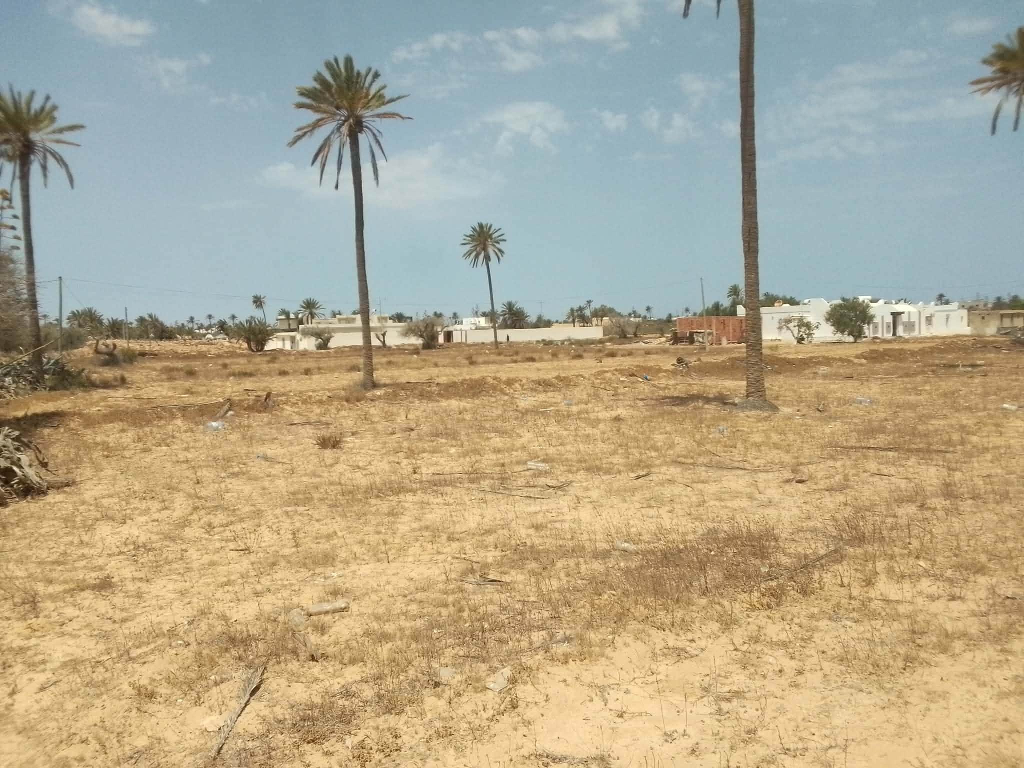 Très jolie lot de terrain nu a jerba midoun — Midoun, Djerba