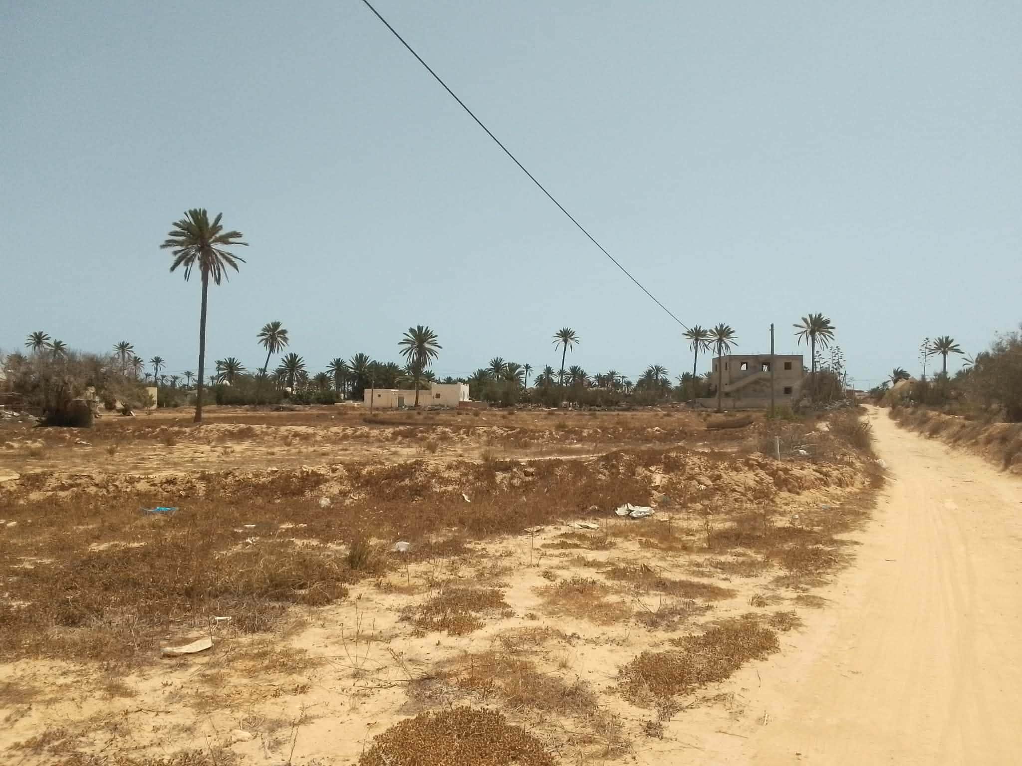Très jolie lot de terrain nu a jerba midoun — salon et pièces de vie