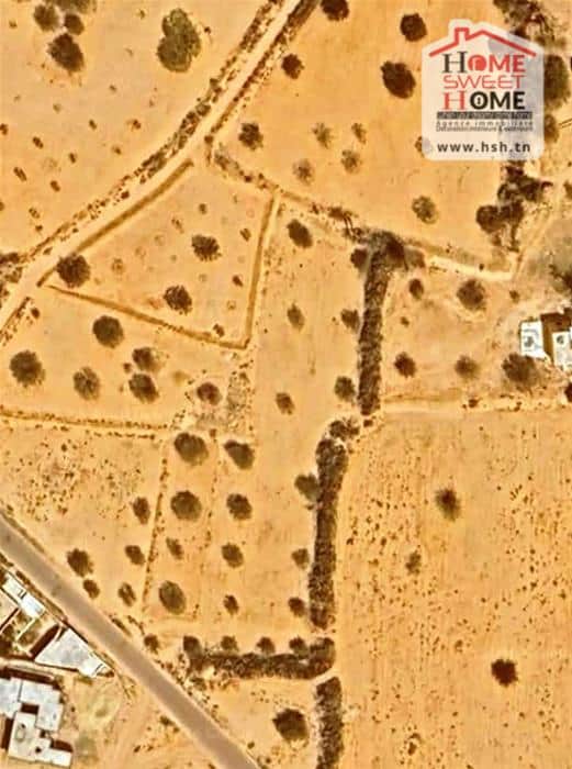 Terrain agricole aghir à djerba — Aghir, Djerba