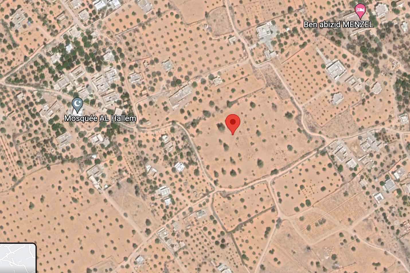 3 hectares a jerba — vue extérieure à Houmt-Souk, Djerba