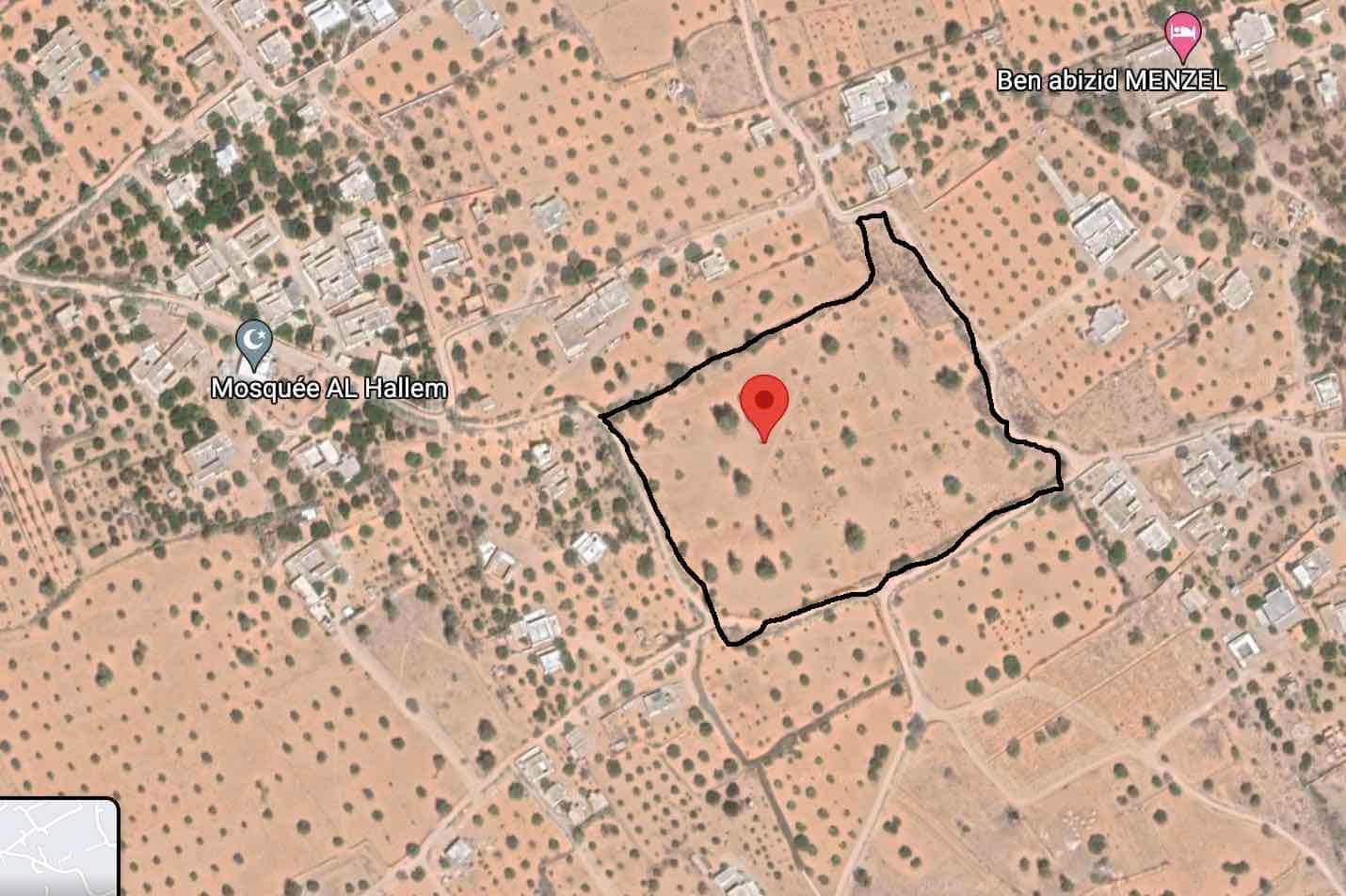 3 hectares a jerba — salon et pièces de vie