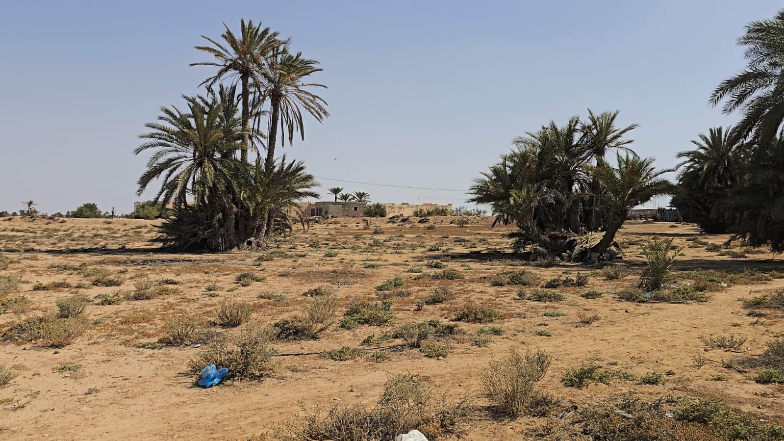 Grand terrain de à chikh yahia djerba — vue extérieure à Ajim, Djerba