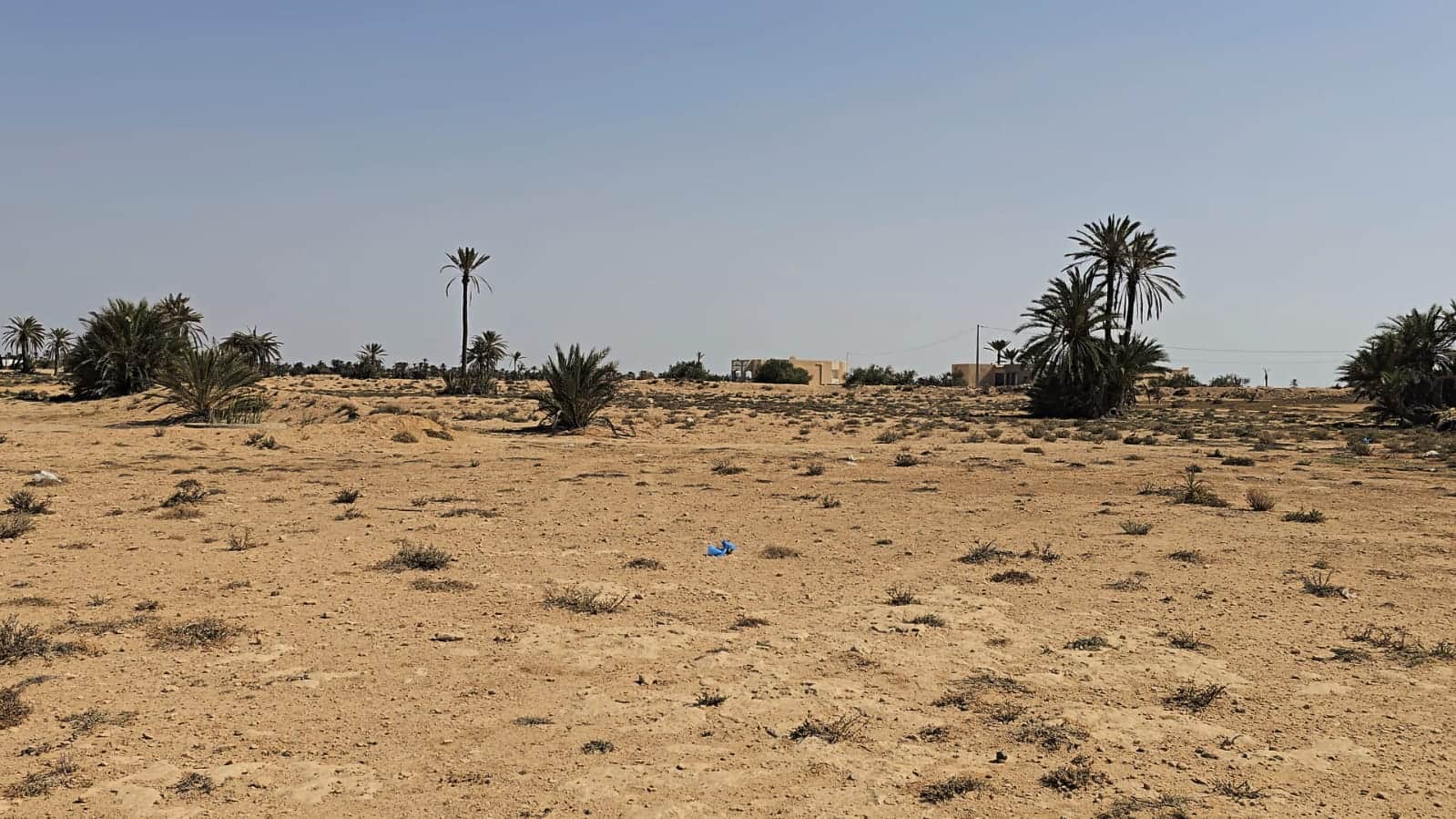 Grand terrain de à chikh yahia djerba — salon et pièces de vie