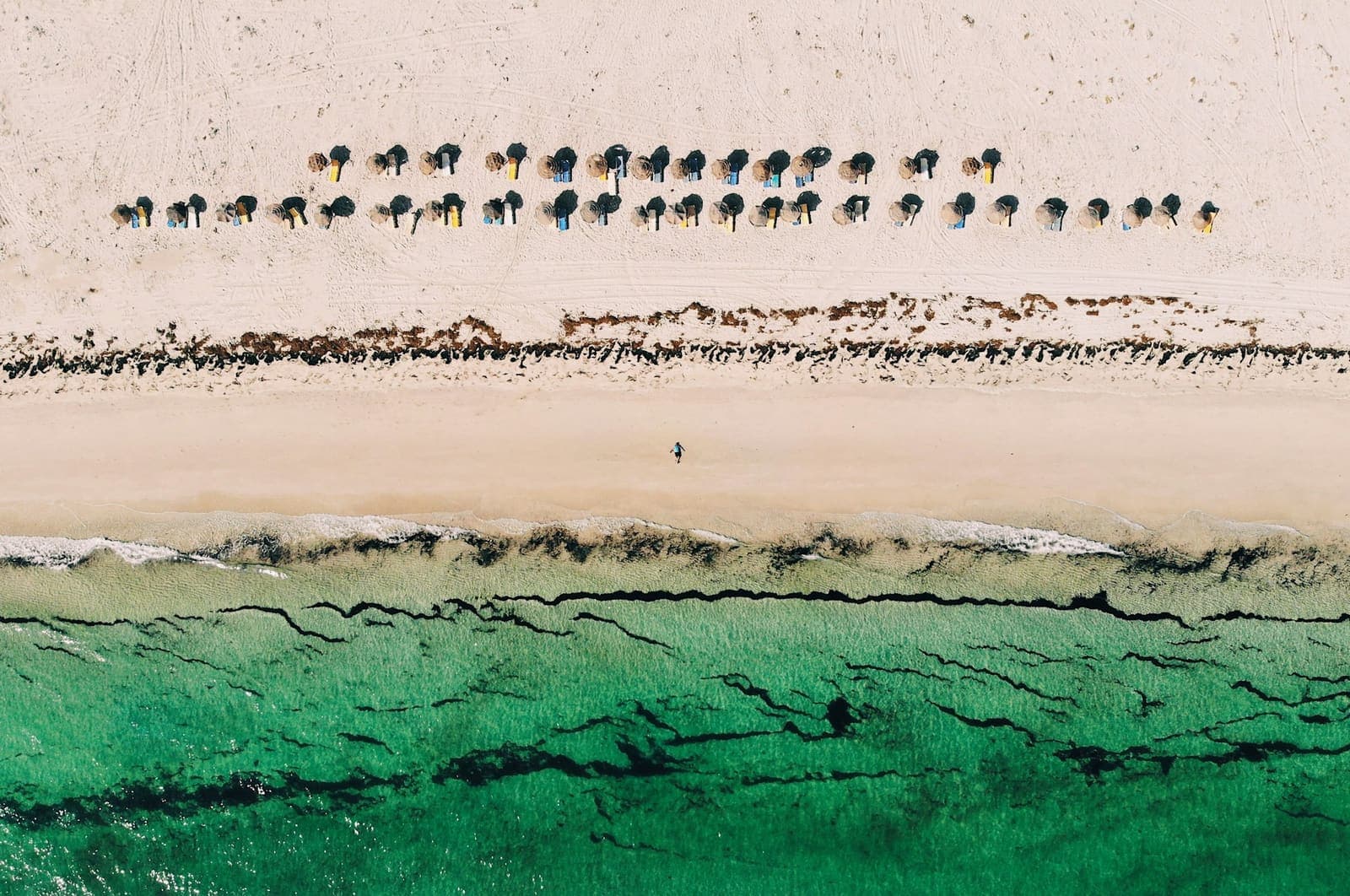TVA sur la construction neuve à Djerba après la loi de finances 2026