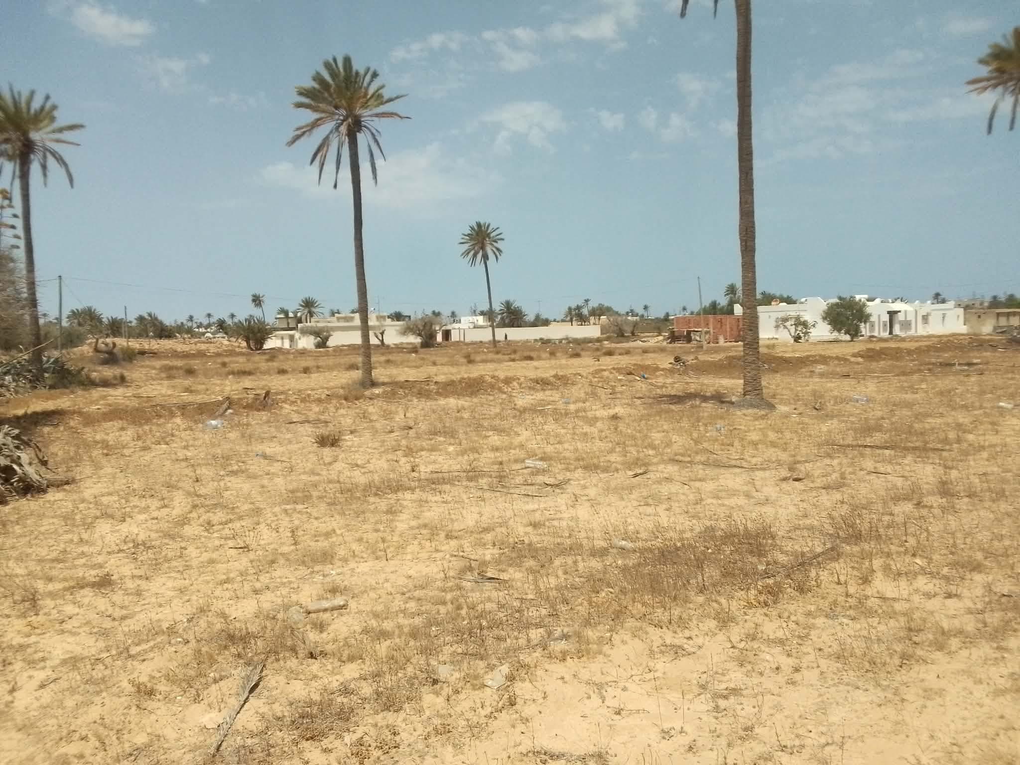 Très jolie lot de terrain nu a jerba midoun — façade — terrain à Midoun