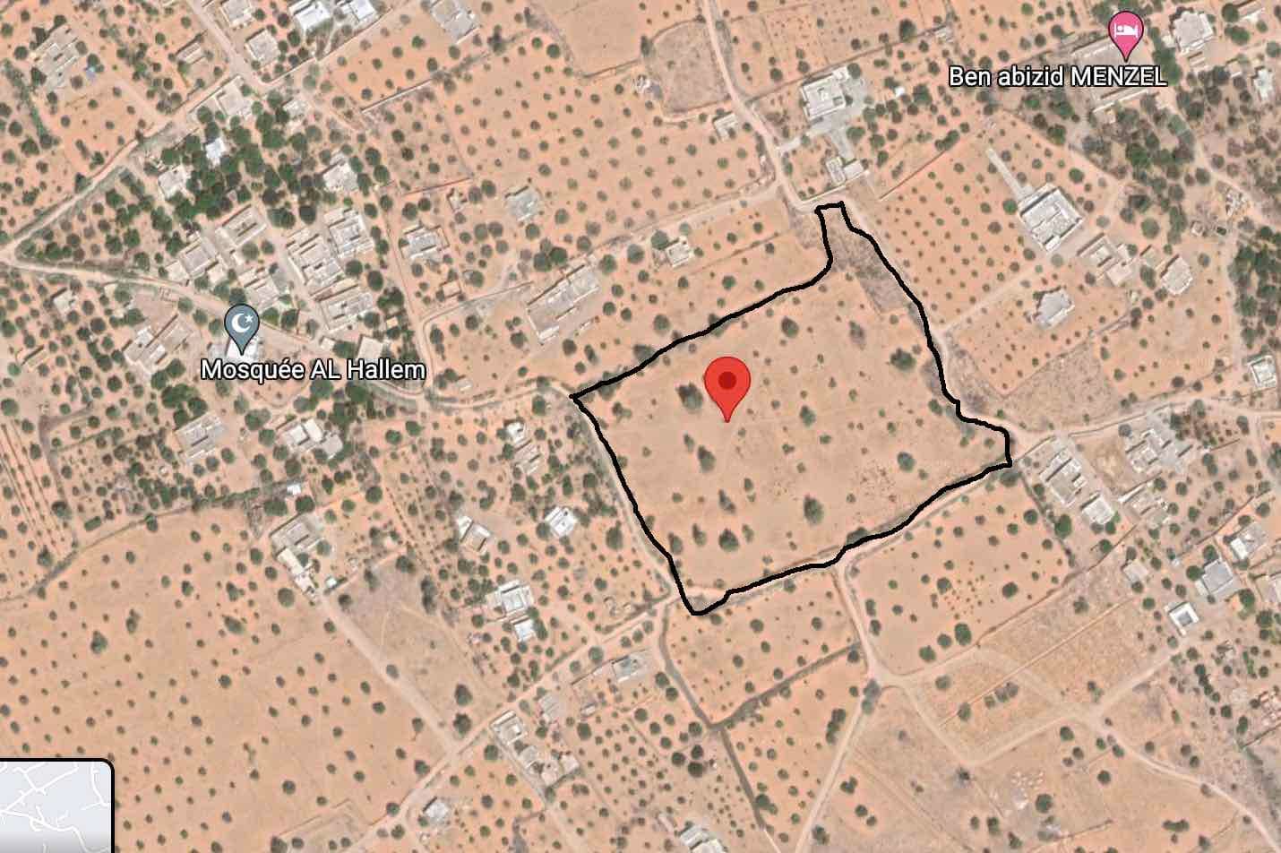 3 hectares a jerba — façade — terrain à Houmt-Souk
